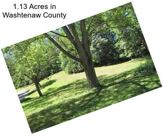 1.13 Acres in Washtenaw County