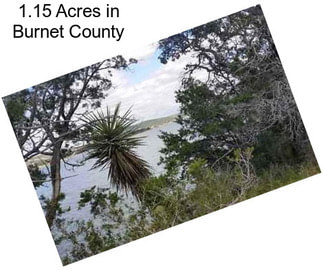 1.15 Acres in Burnet County