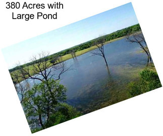 380 Acres with Large Pond