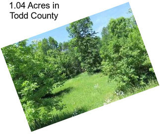 1.04 Acres in Todd County