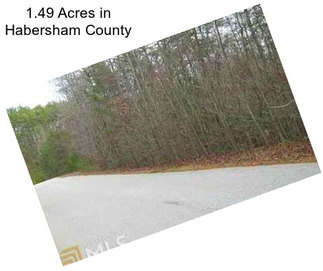 1.49 Acres in Habersham County