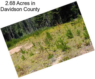 2.68 Acres in Davidson County