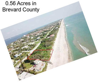 0.56 Acres in Brevard County