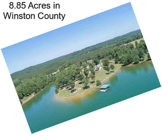 8.85 Acres in Winston County