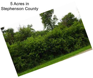 5 Acres in Stephenson County