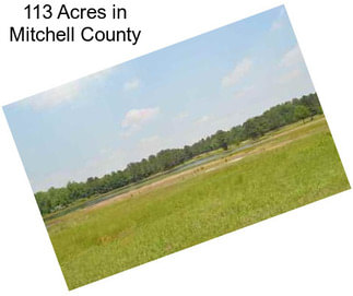 113 Acres in Mitchell County