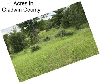 1 Acres in Gladwin County