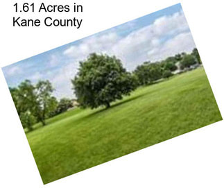 1.61 Acres in Kane County