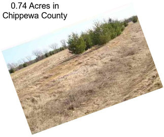 0.74 Acres in Chippewa County