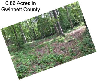 0.86 Acres in Gwinnett County
