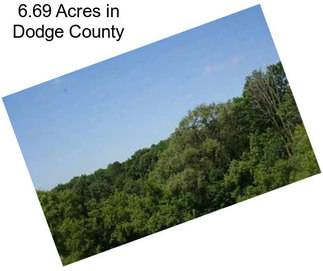 6.69 Acres in Dodge County