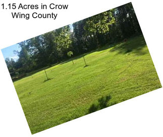 1.15 Acres in Crow Wing County