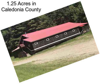 1.25 Acres in Caledonia County