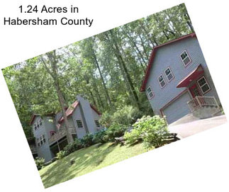 1.24 Acres in Habersham County