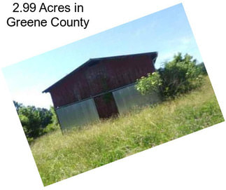 2.99 Acres in Greene County