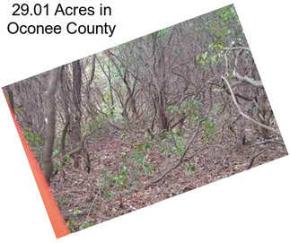 29.01 Acres in Oconee County