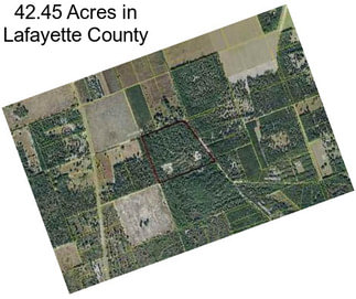 42.45 Acres in Lafayette County