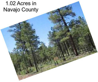 1.02 Acres in Navajo County