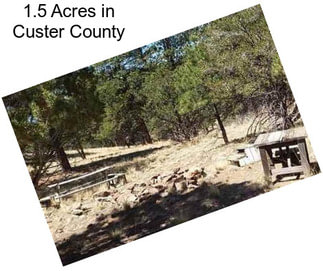 1.5 Acres in Custer County