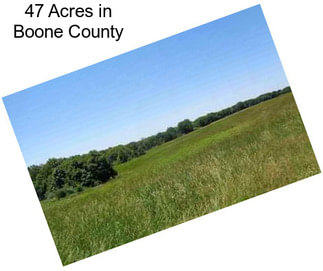 47 Acres in Boone County