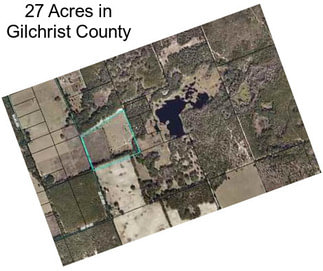 27 Acres in Gilchrist County