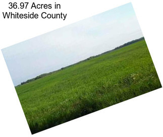 36.97 Acres in Whiteside County