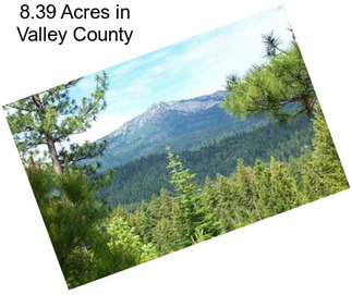 8.39 Acres in Valley County