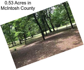 0.53 Acres in McIntosh County