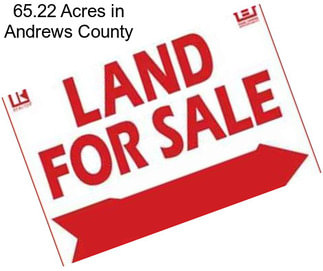 65.22 Acres in Andrews County