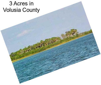 3 Acres in Volusia County
