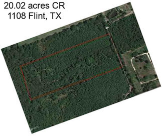 20.02 acres CR 1108 Flint, TX
