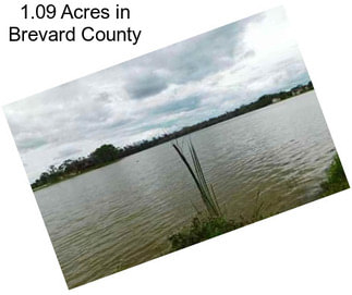 1.09 Acres in Brevard County