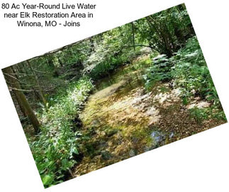 80 Ac Year-Round Live Water near Elk Restoration Area in Winona, MO - Joins