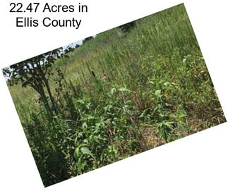 22.47 Acres in Ellis County