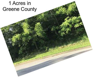 1 Acres in Greene County