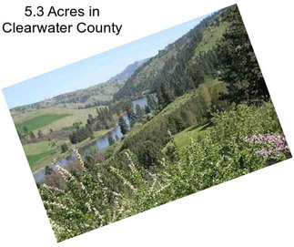 5.3 Acres in Clearwater County