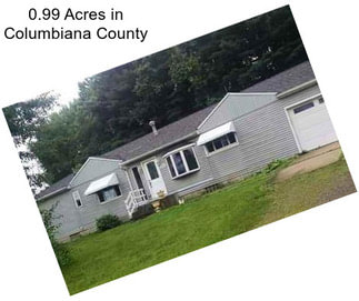 0.99 Acres in Columbiana County