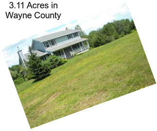 3.11 Acres in Wayne County
