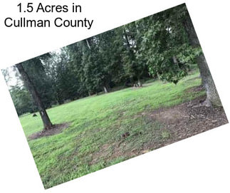 1.5 Acres in Cullman County