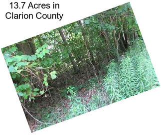 13.7 Acres in Clarion County