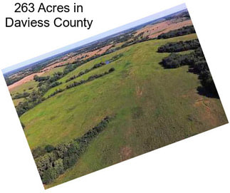 263 Acres in Daviess County