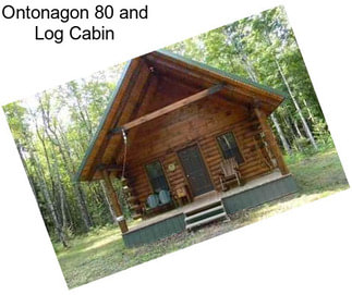 Ontonagon 80 and Log Cabin