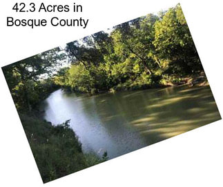 42.3 Acres in Bosque County