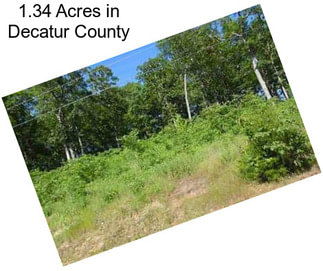 1.34 Acres in Decatur County