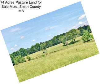 74 Acres Pasture Land for Sale Mize, Smith County MS