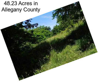 48.23 Acres in Allegany County