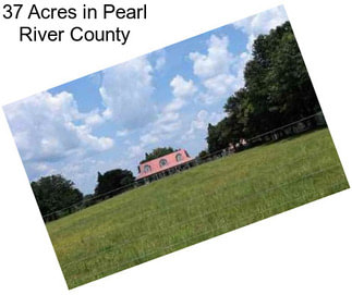 37 Acres in Pearl River County