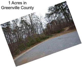 1 Acres in Greenville County