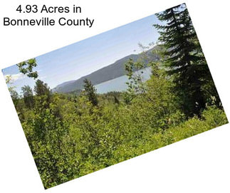 4.93 Acres in Bonneville County
