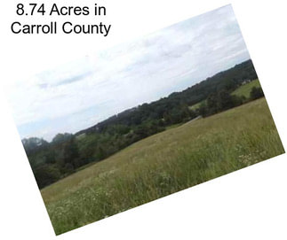 8.74 Acres in Carroll County